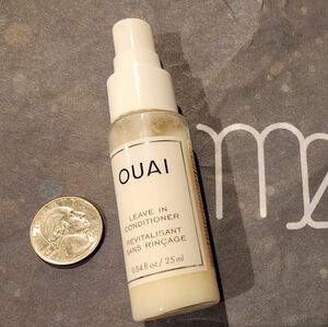 Leave in conditioner